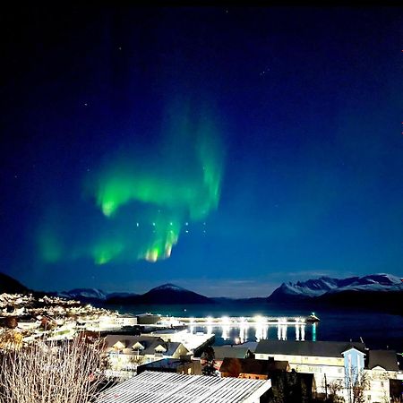 شقة Aurora Dream Skjervoy المظهر الخارجي الصورة